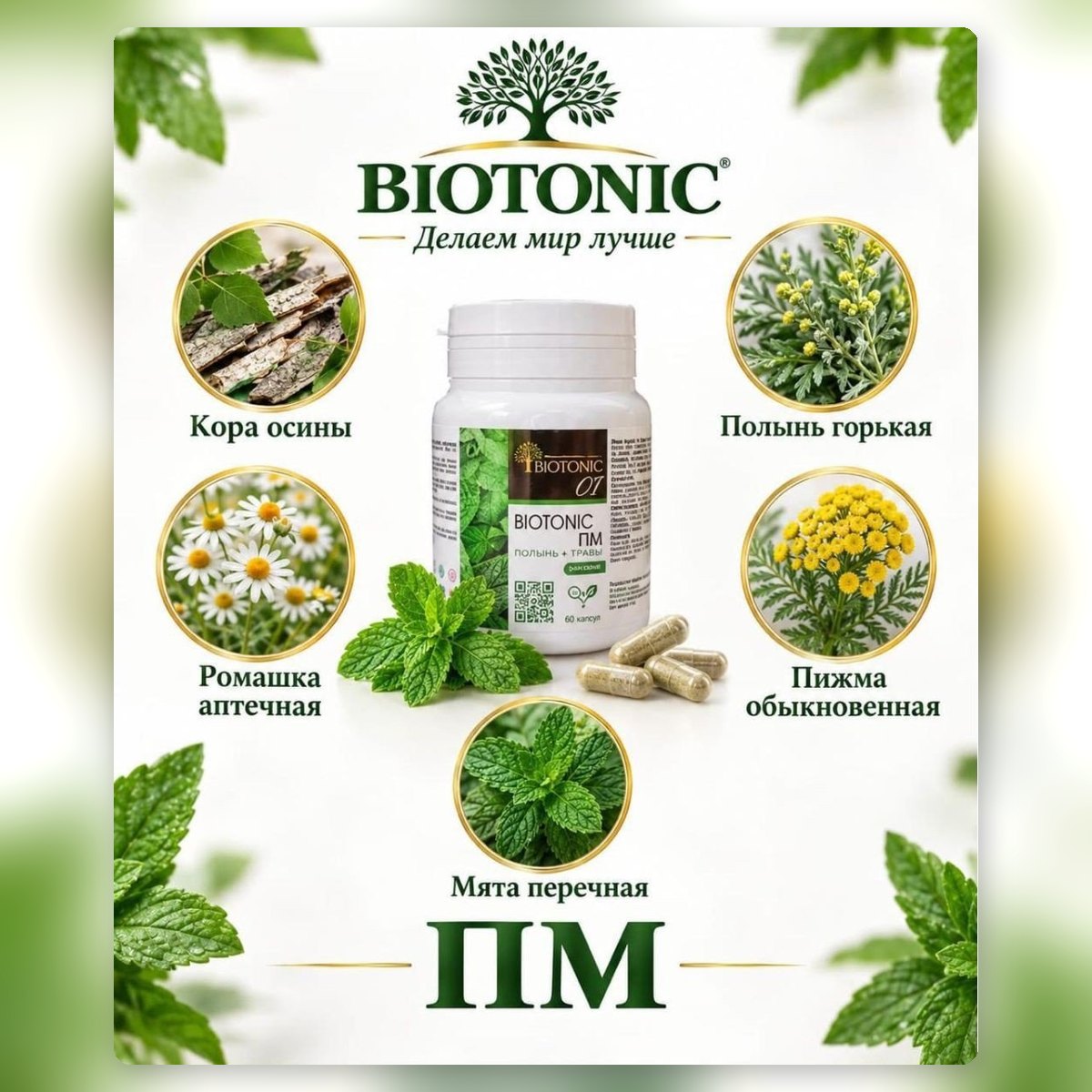 Biotonic ПМ — жусан мен шөптер жинағы (капсула)