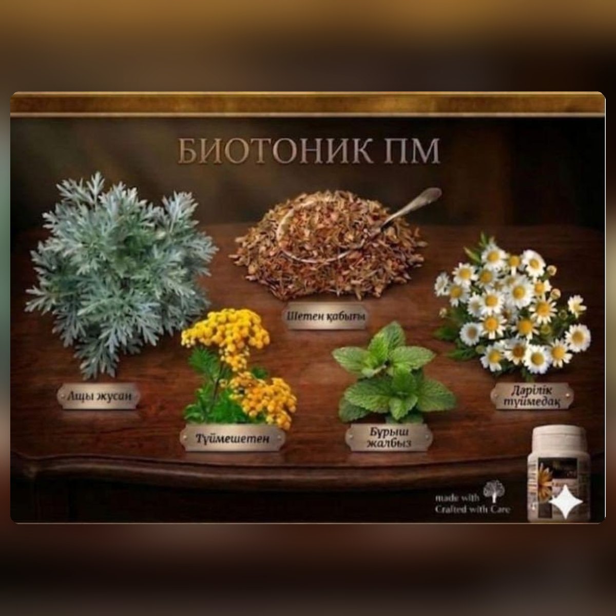 Biotonic ПМ — жусан мен шөптер жинағы (капсула) — сурет 2