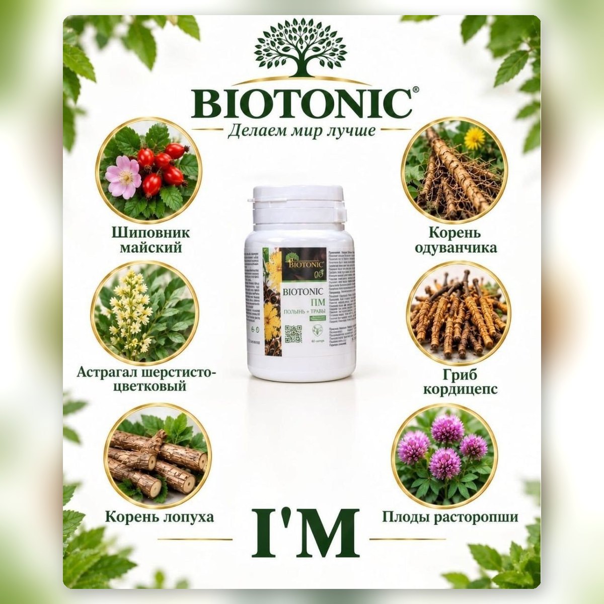 Biotonic A'M — бауыр мен өт жолдарына арналған шөп кешені (60 капсула)