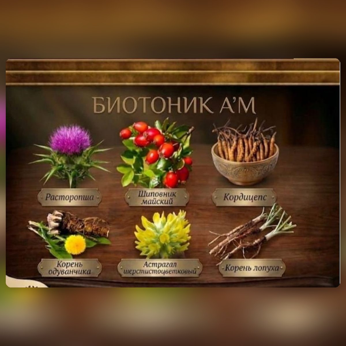 Biotonic A'M — бауыр мен өт жолдарына арналған шөп кешені (60 капсула) — сурет 2