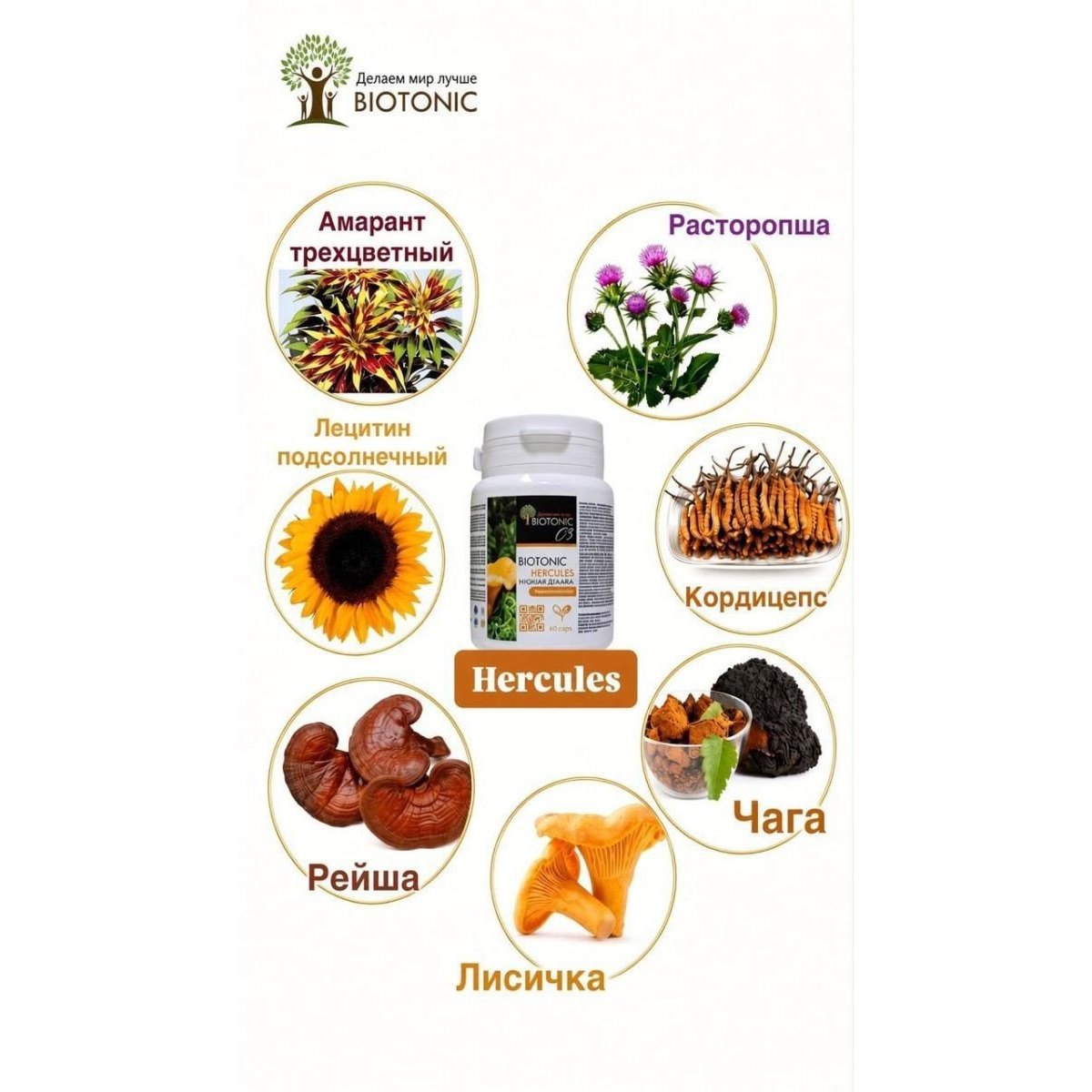 Biotonic Hercules (Геракл) — саңырауқұлақ кешені (60 капсула)