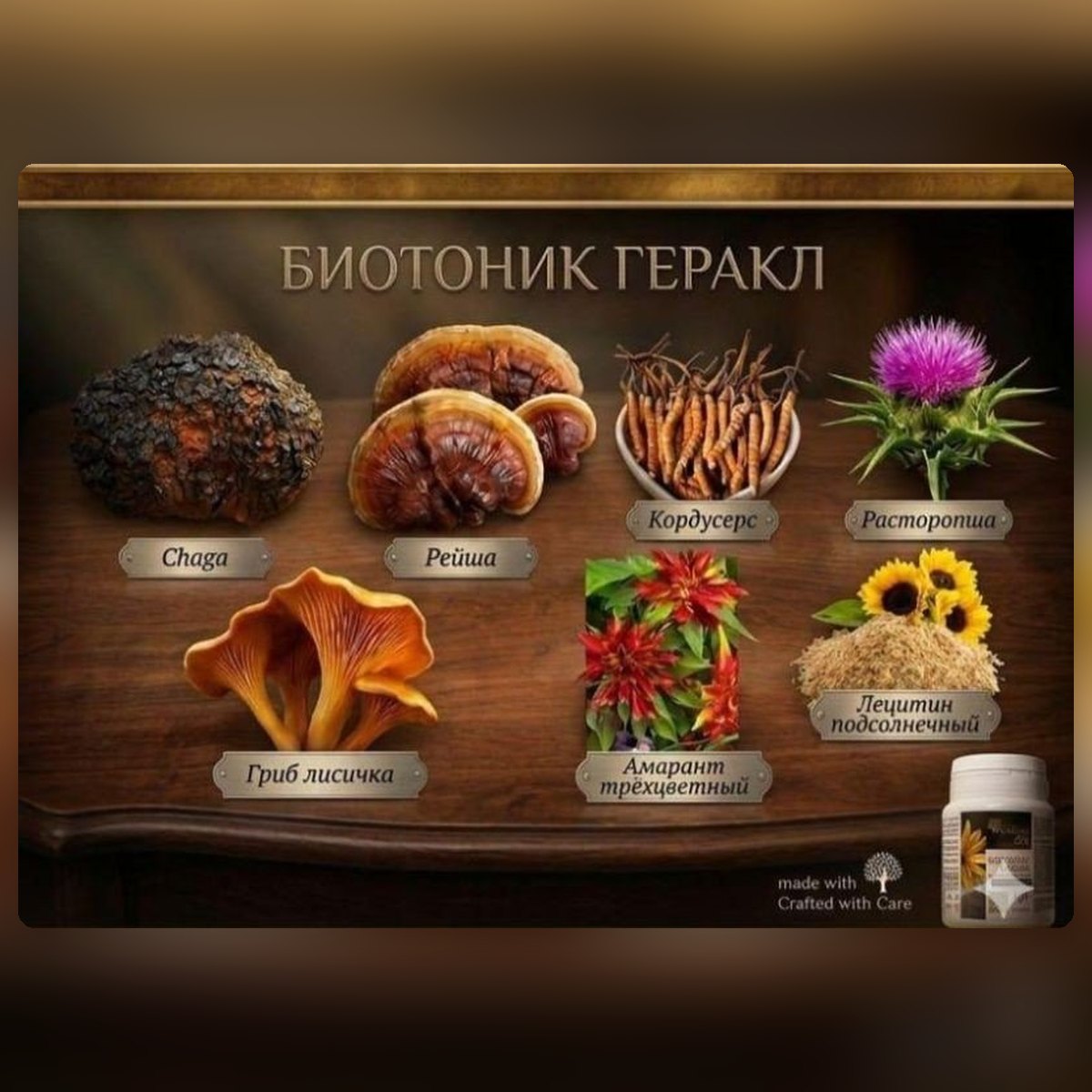 Biotonic Hercules (Геракл) — саңырауқұлақ кешені (60 капсула) — сурет 2