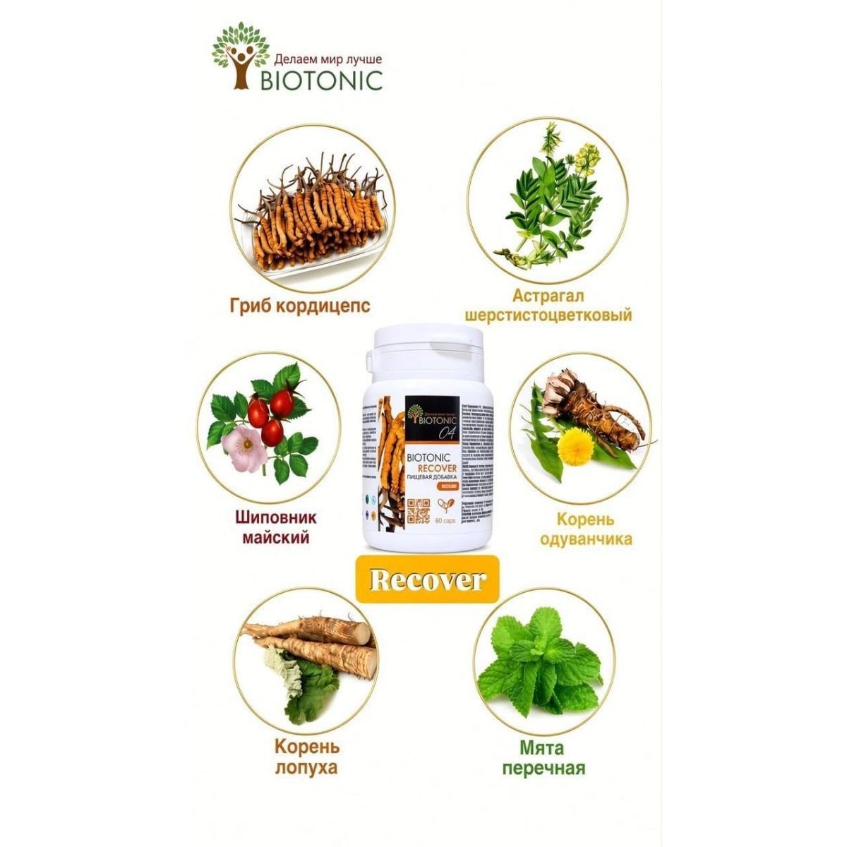 Biotonic Recover (Рековер) — кордицепс кешені (60 капсула)