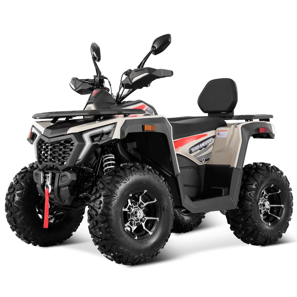 Tao Motor Ranger 250 — фото 3