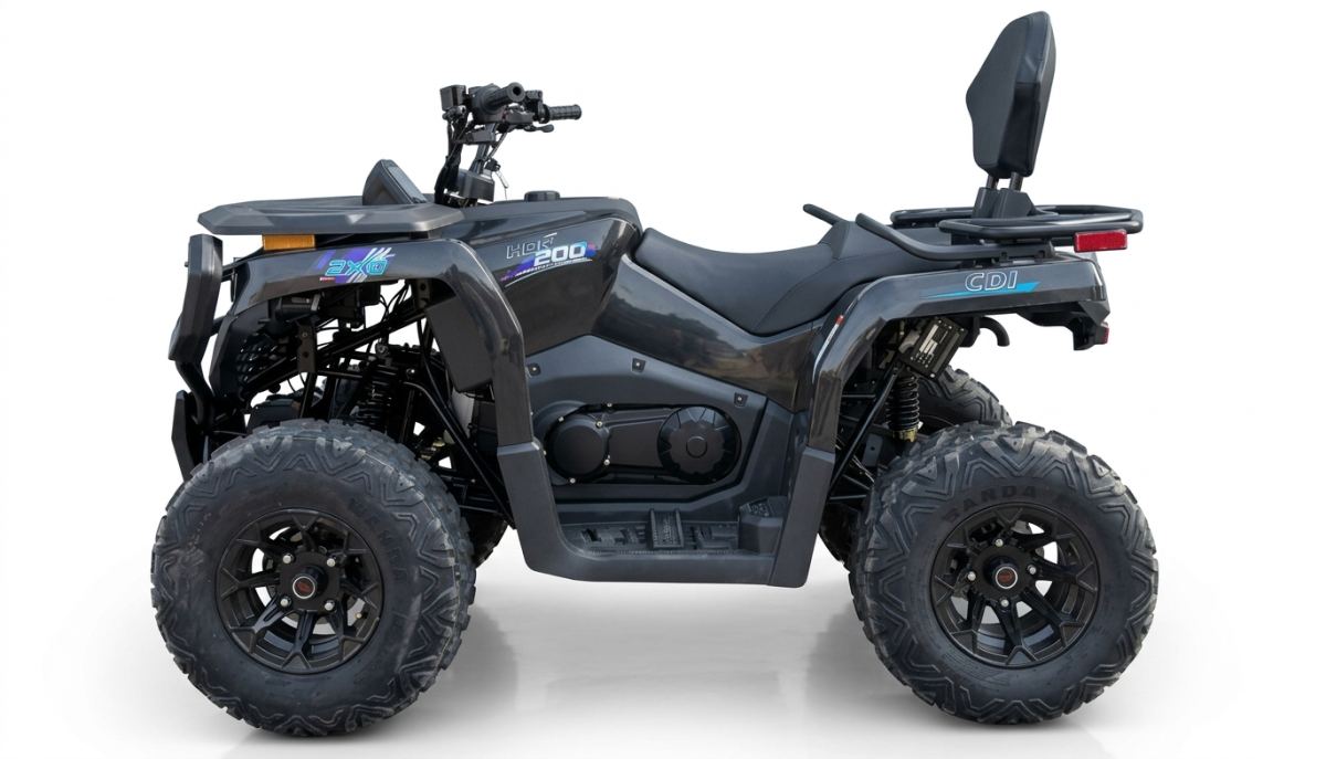 LION 200CC LONG