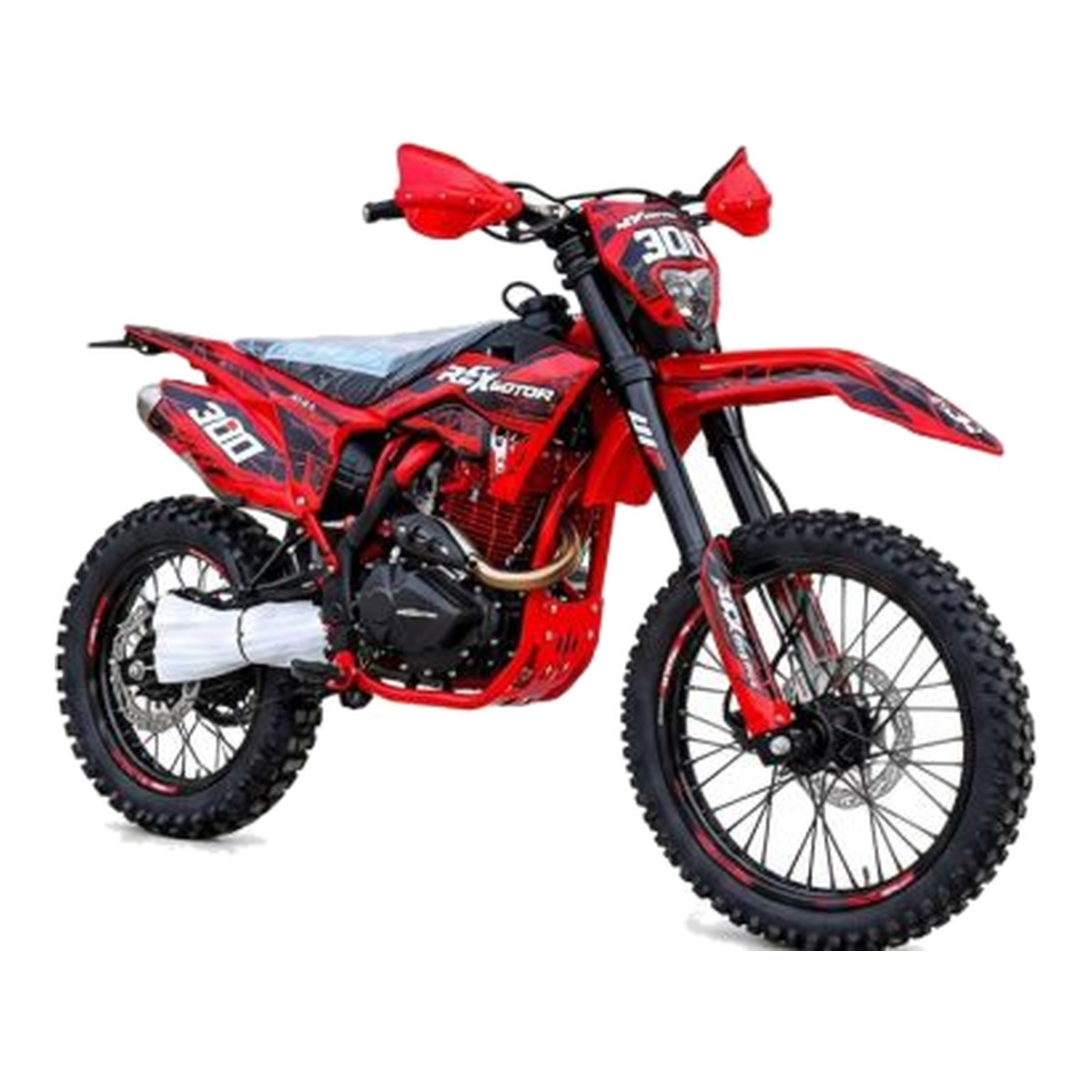 REX MOTOR PR300